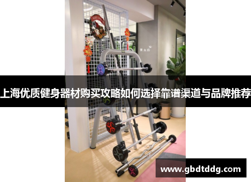 上海优质健身器材购买攻略如何选择靠谱渠道与品牌推荐